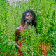 Illustration for article titled Jamaica Legalizes (Medical) Marijuana Decriminalizes All Weed